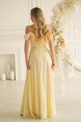  Long dress model 227141 Bicotone 